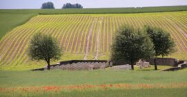 Fietsvakantie Picardië – Somme